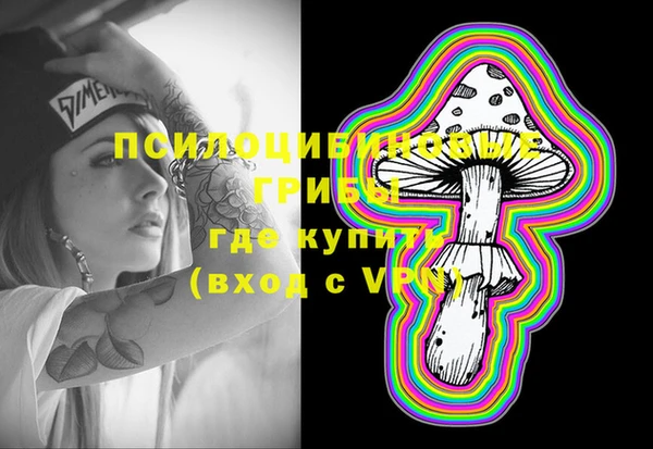 спиды Арсеньев