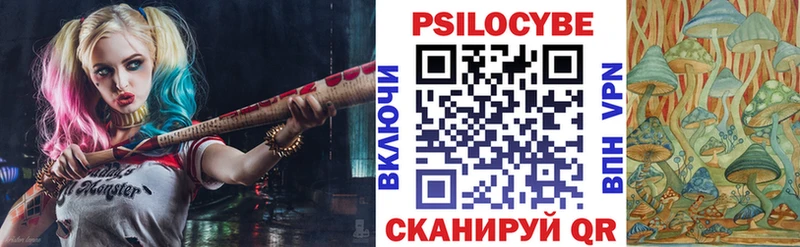 Псилоцибиновые грибы мицелий  Купить где  Жиздра 